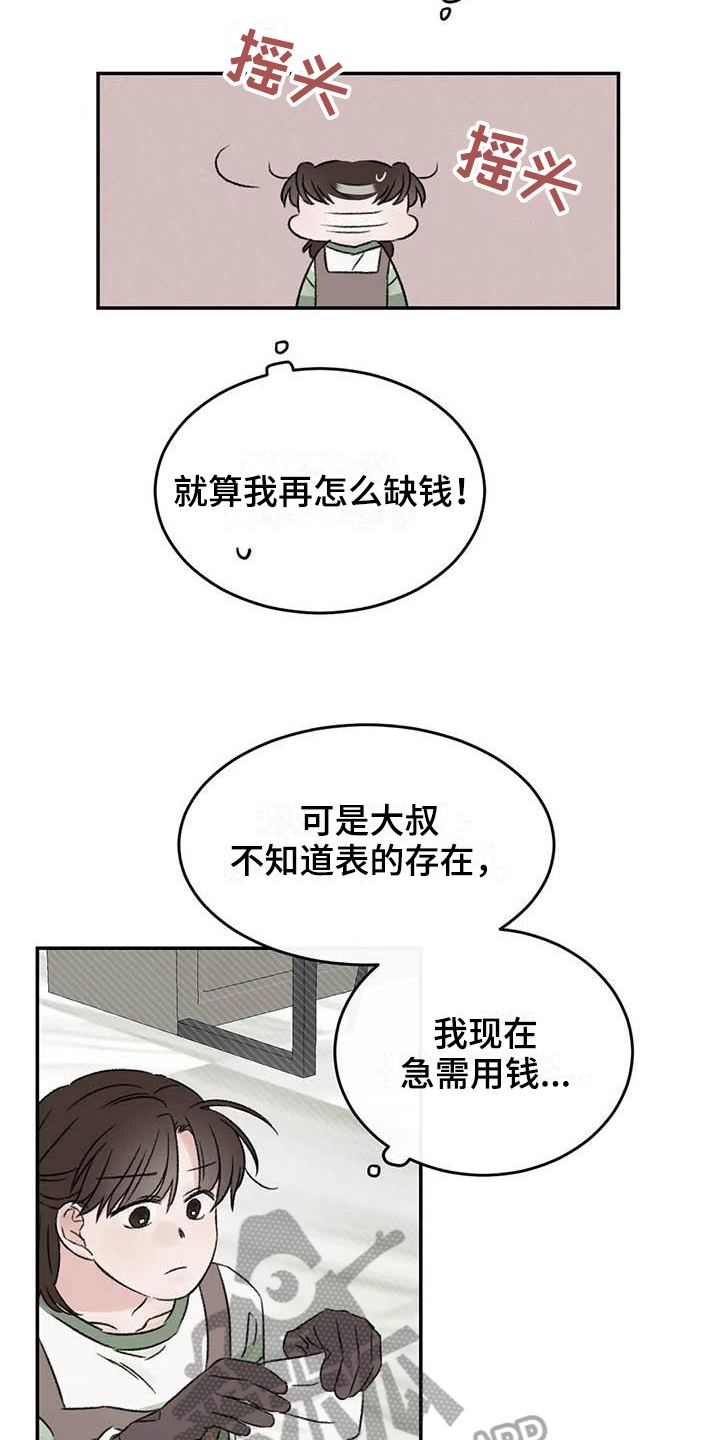 15.jpg