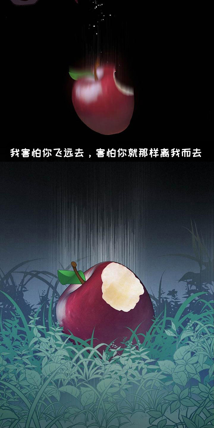 25.jpg