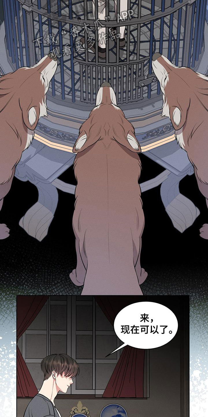 15.jpg