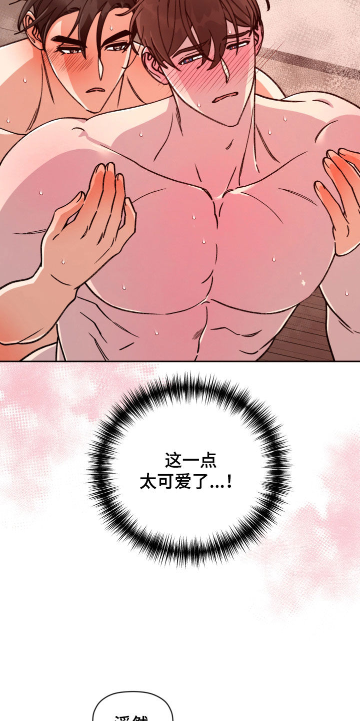 17.jpg