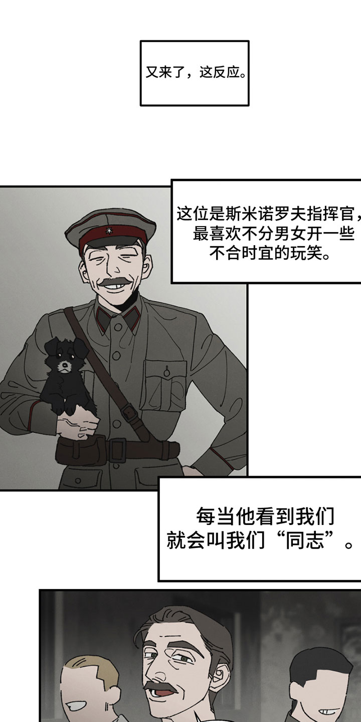 12.jpg