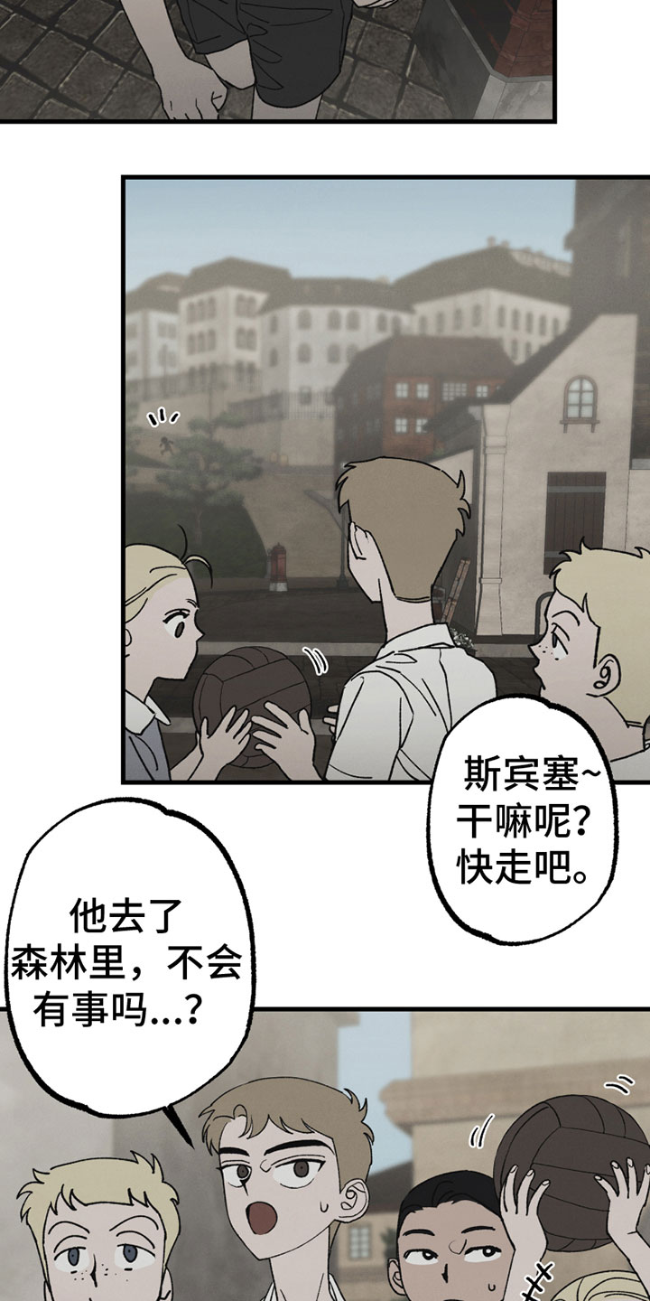 15.jpg
