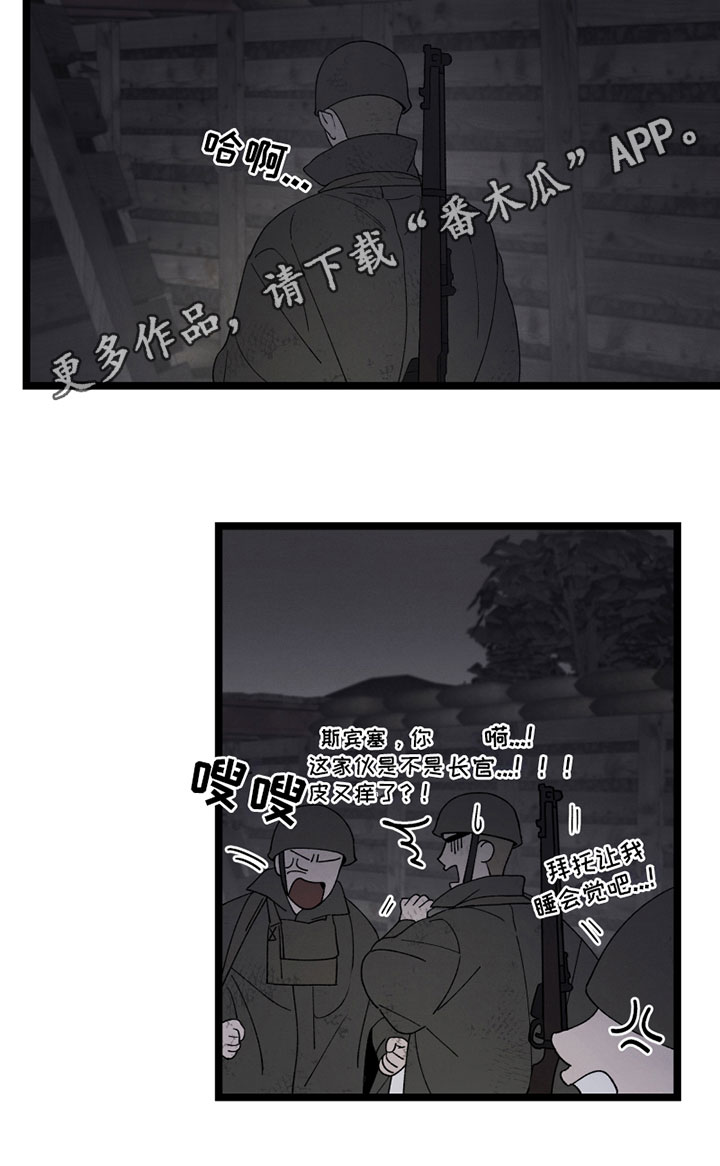 19.jpg