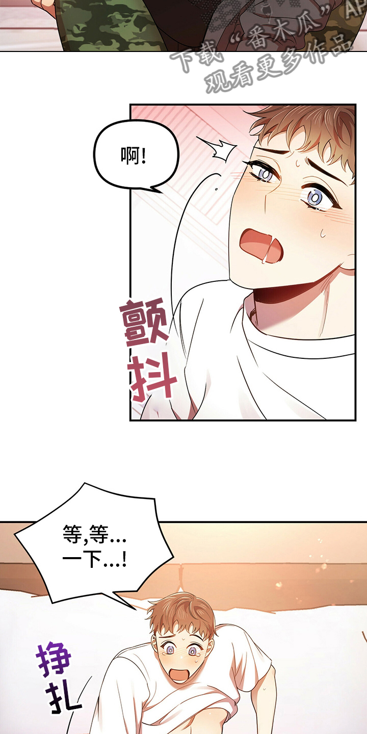 13.jpg