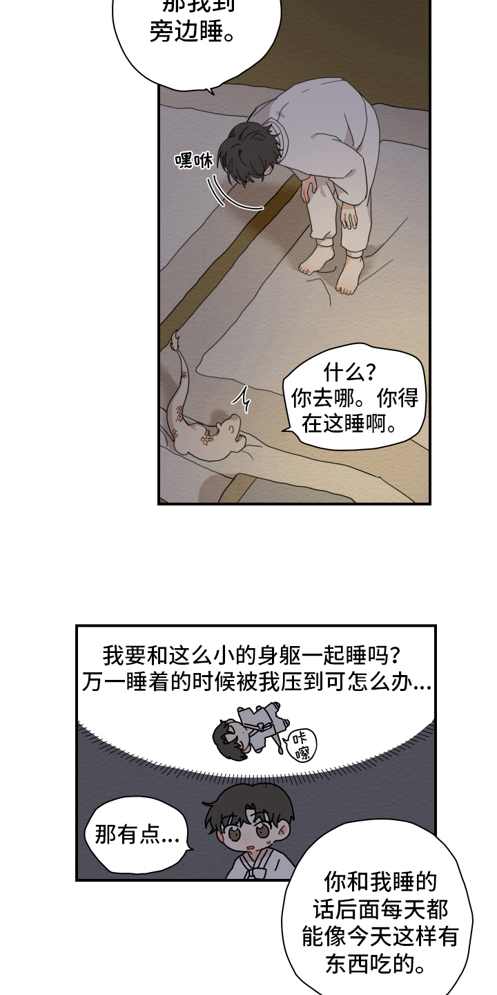 11.jpg
