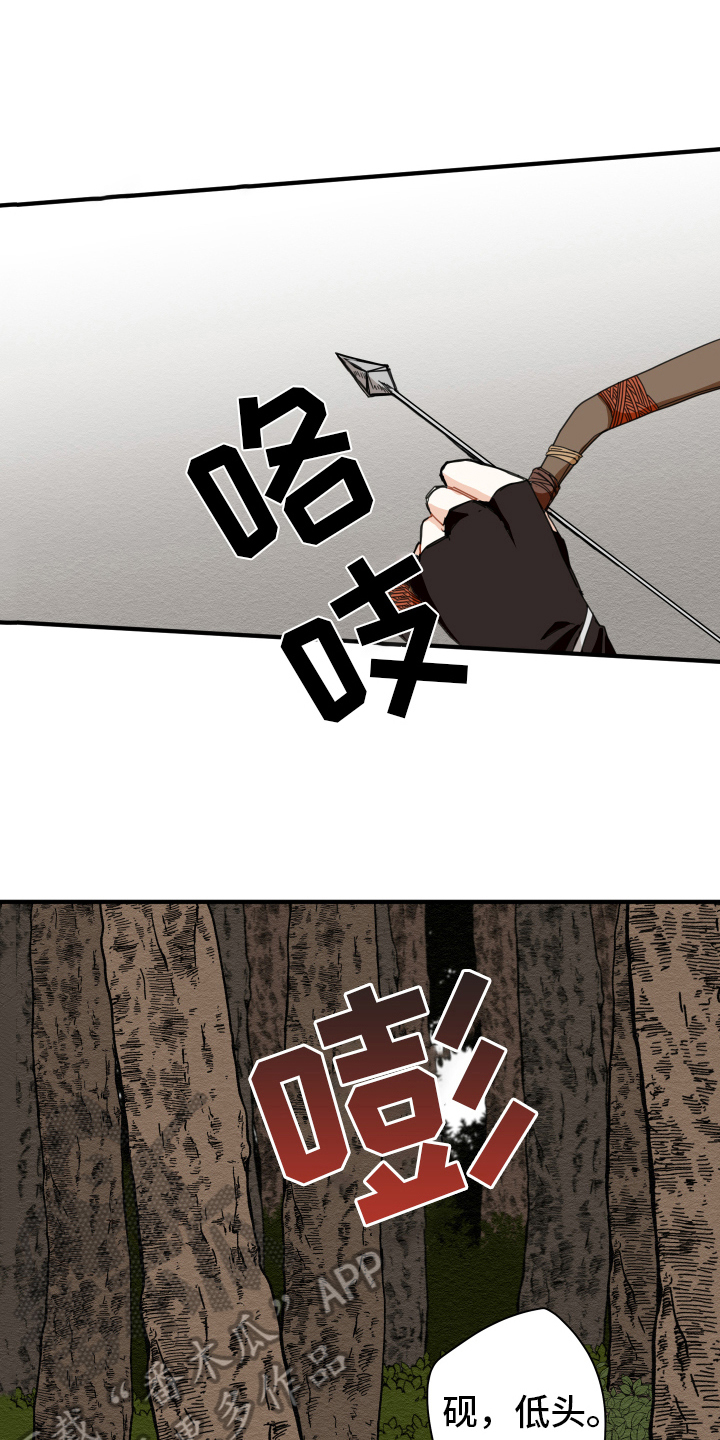 13.jpg