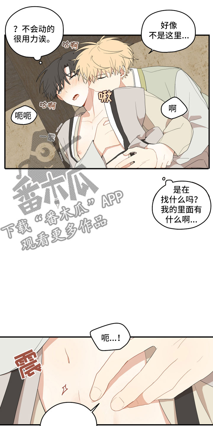 9.jpg