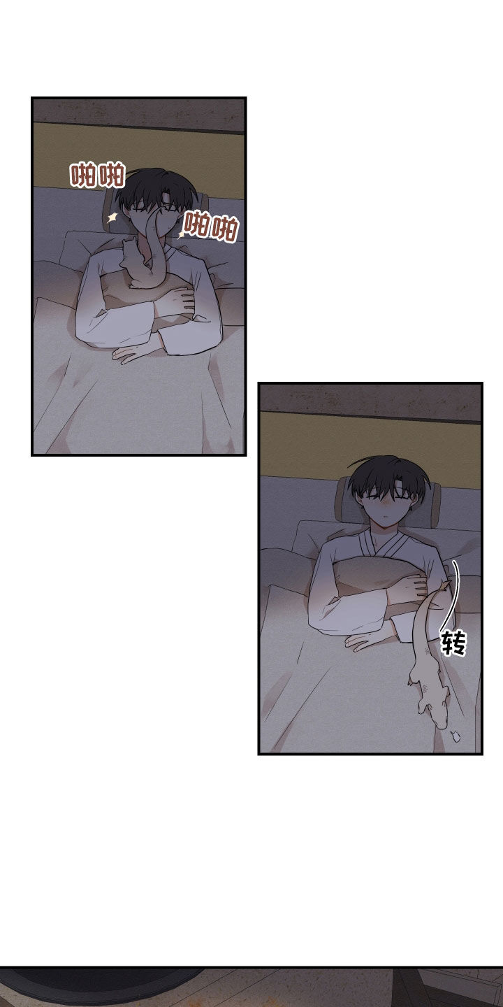20.jpg