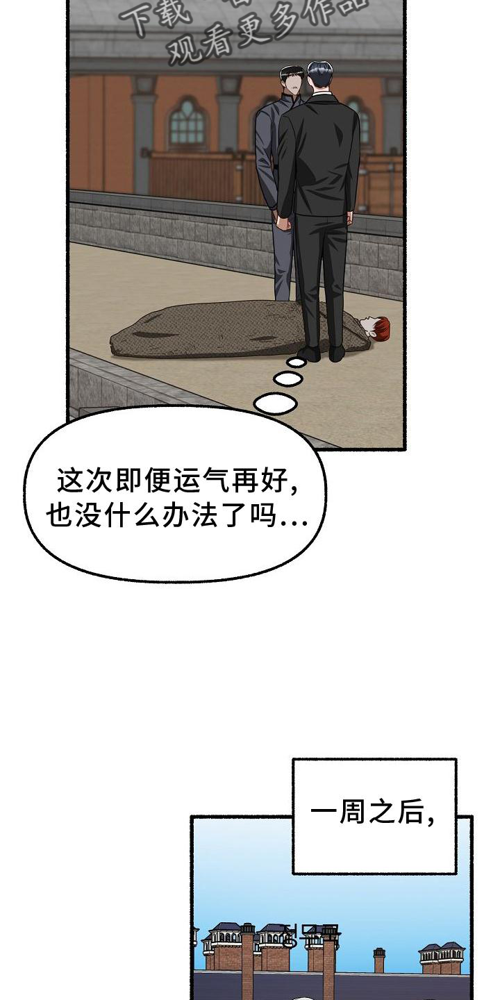 29.jpg