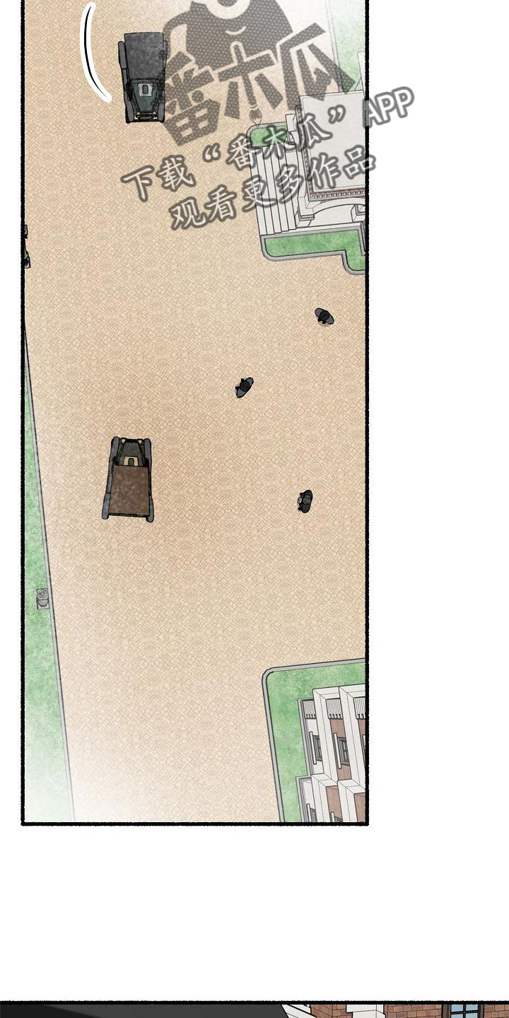 25.jpg