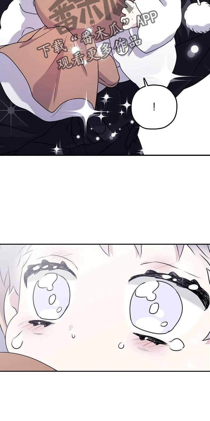 29.jpg
