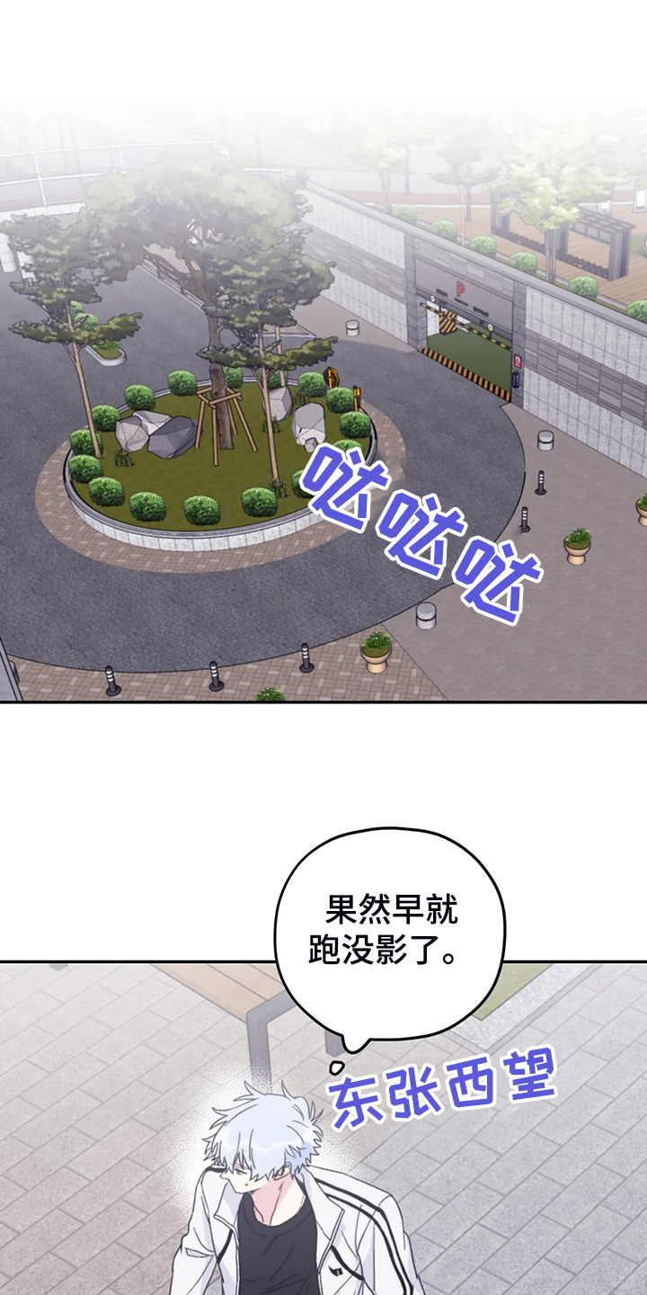 18.jpg
