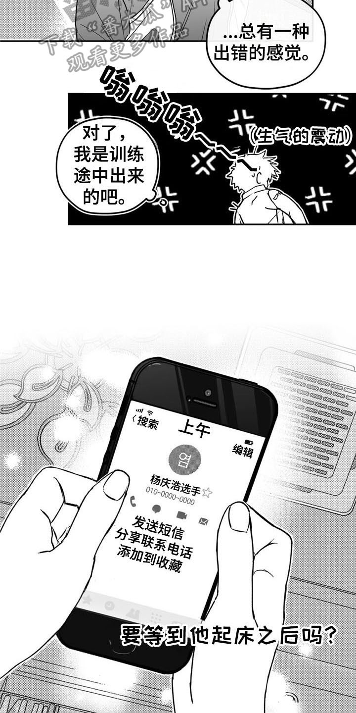 15.jpg