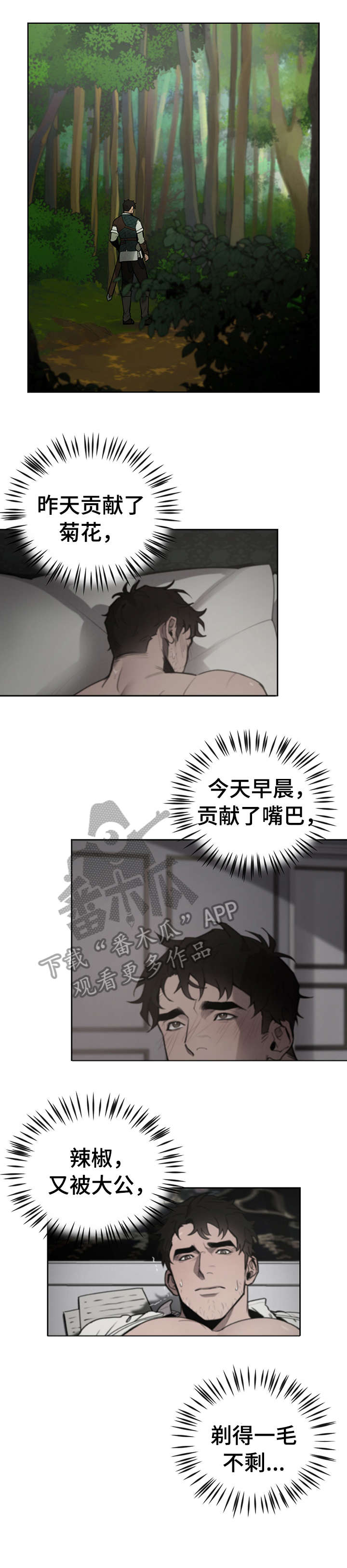 12.jpg