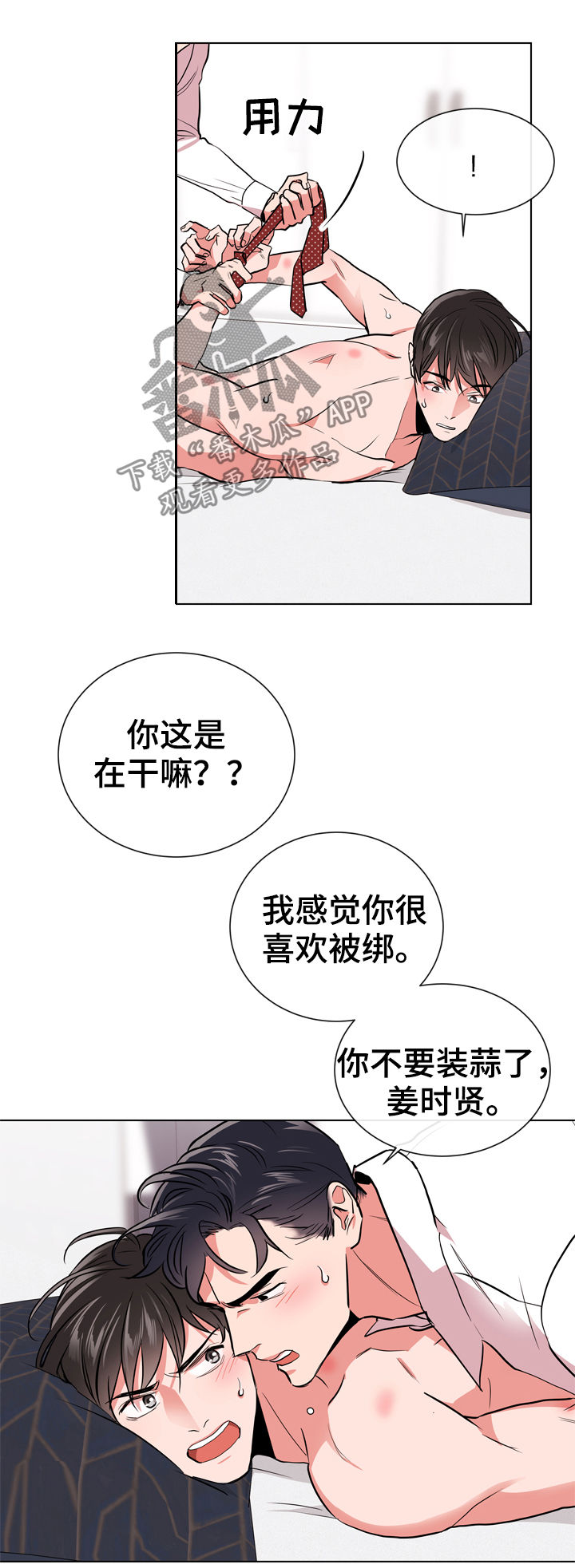 8.jpg
