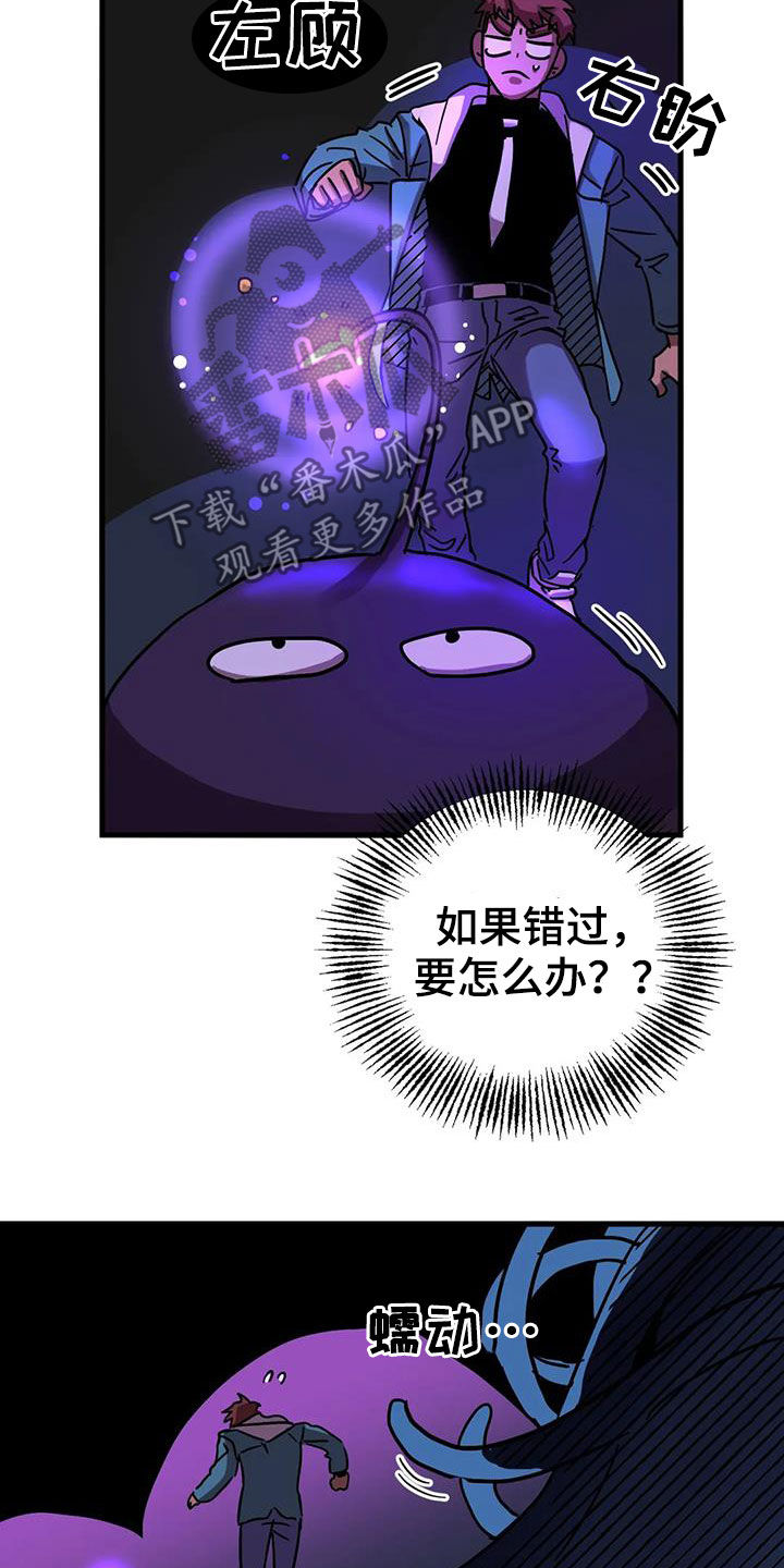 13.jpg