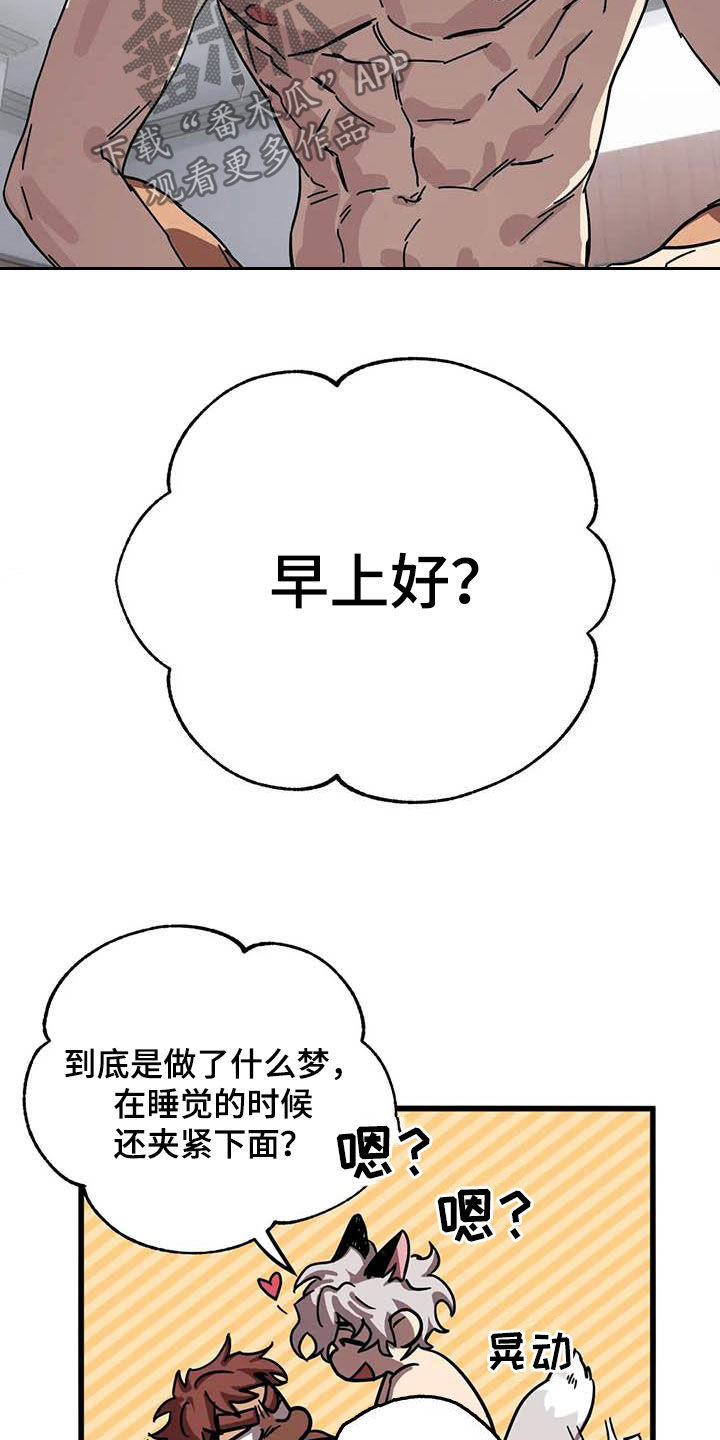 15.jpg