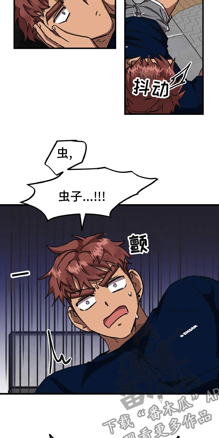 16.jpg