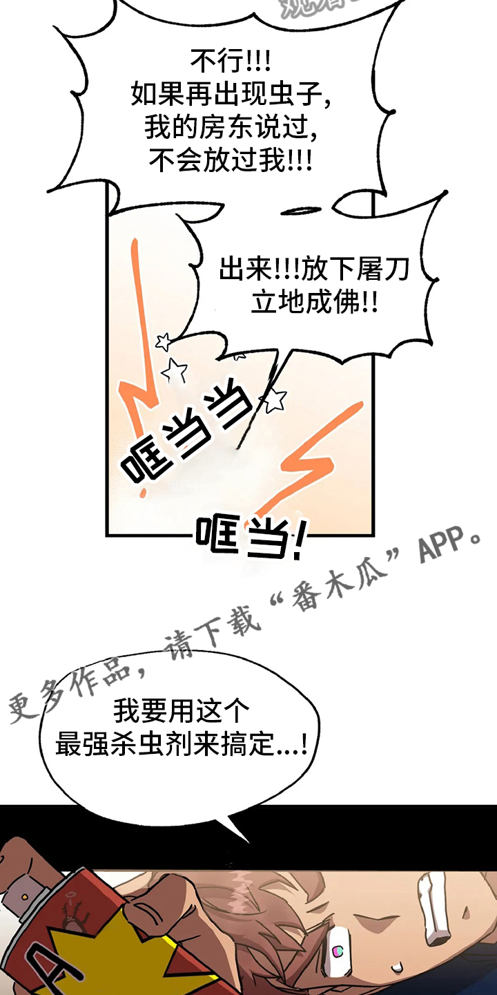 17.jpg
