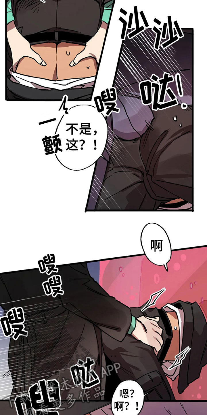 8.jpg