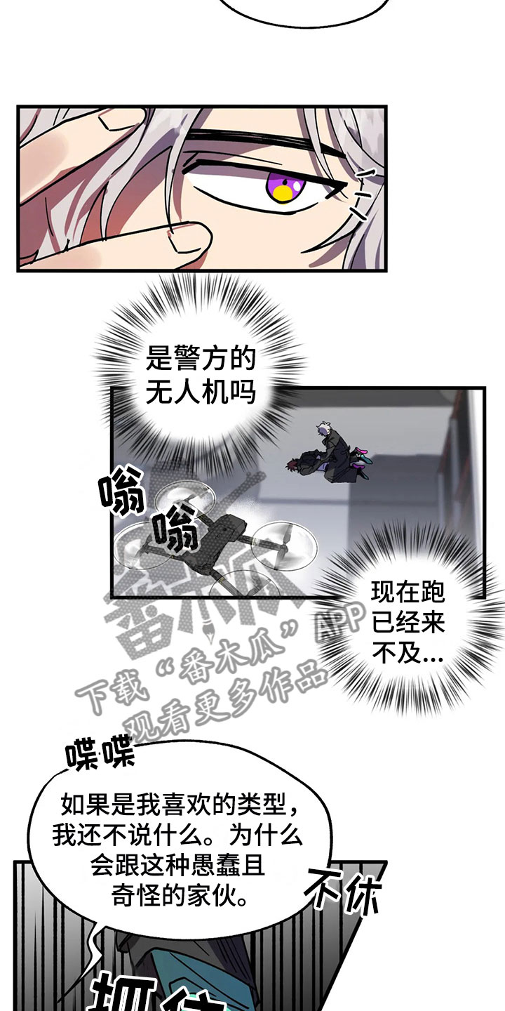 19.jpg