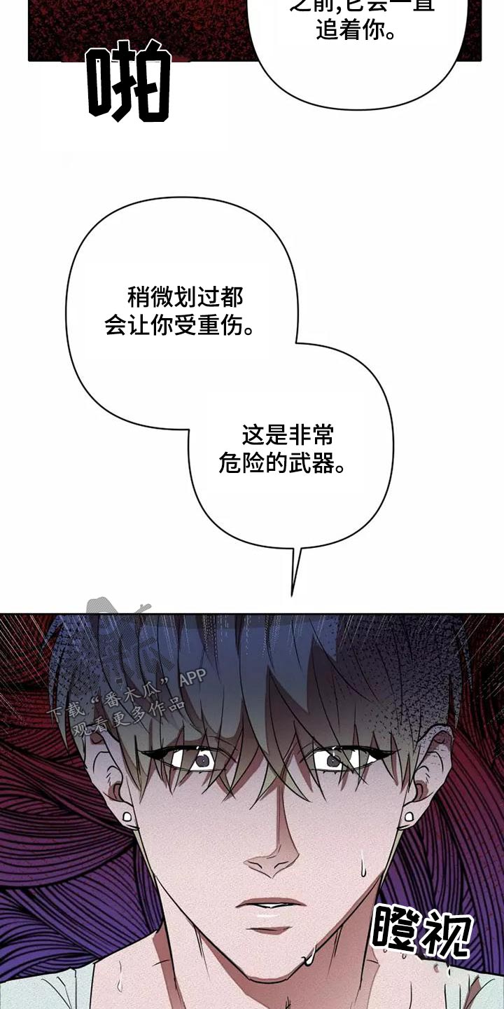24.jpg