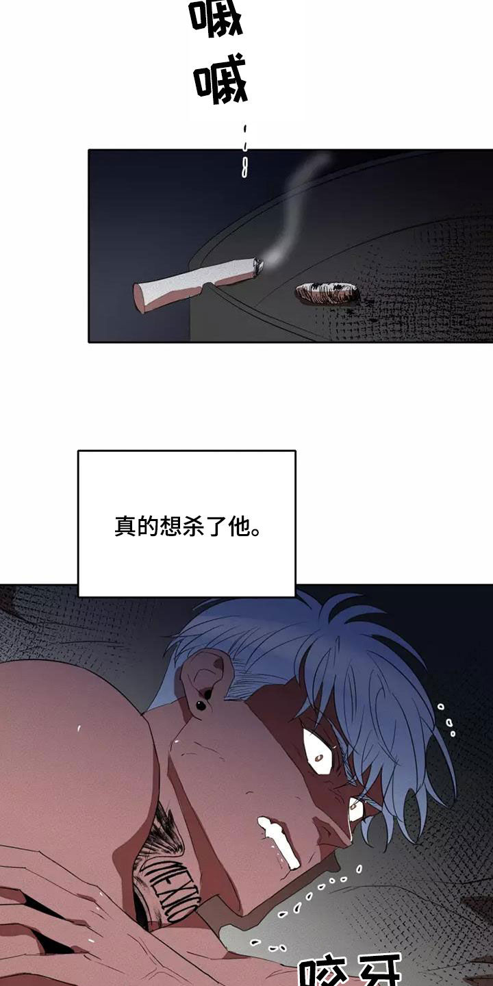 21.jpg
