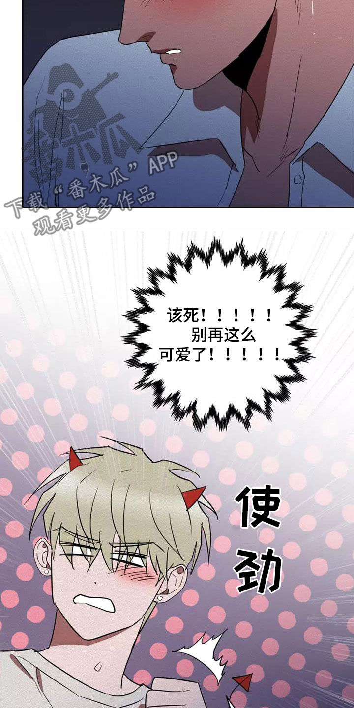 14.jpg