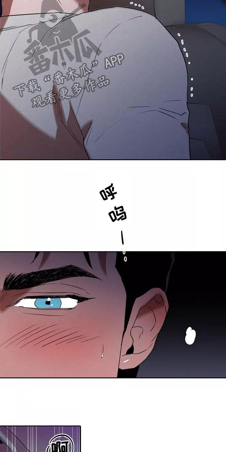 18.jpg