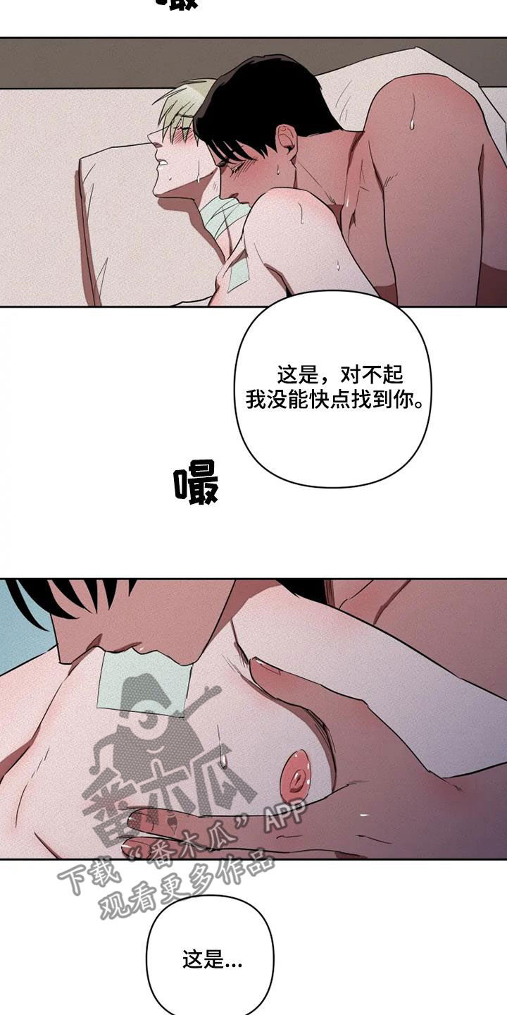 21.jpg
