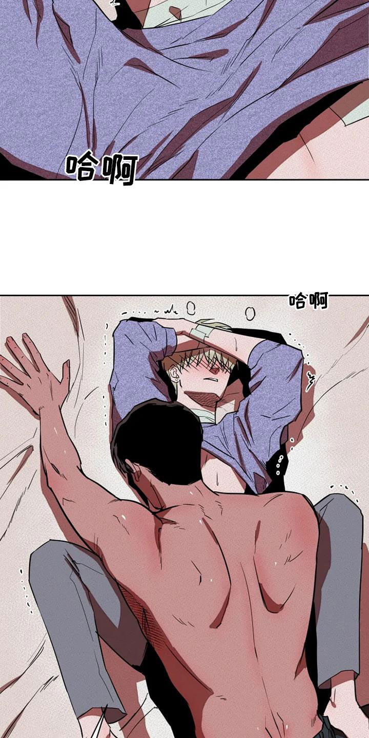 15.jpg