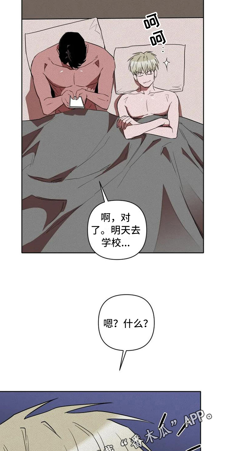 19.jpg
