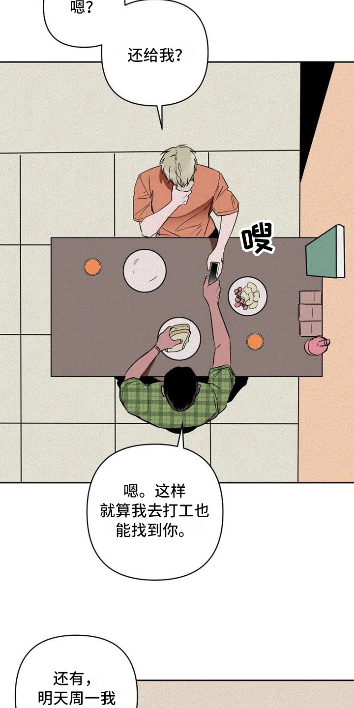 14.jpg