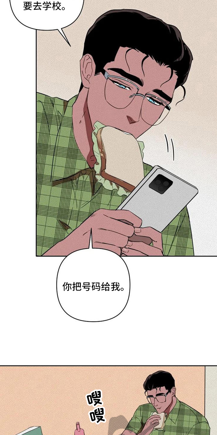 15.jpg