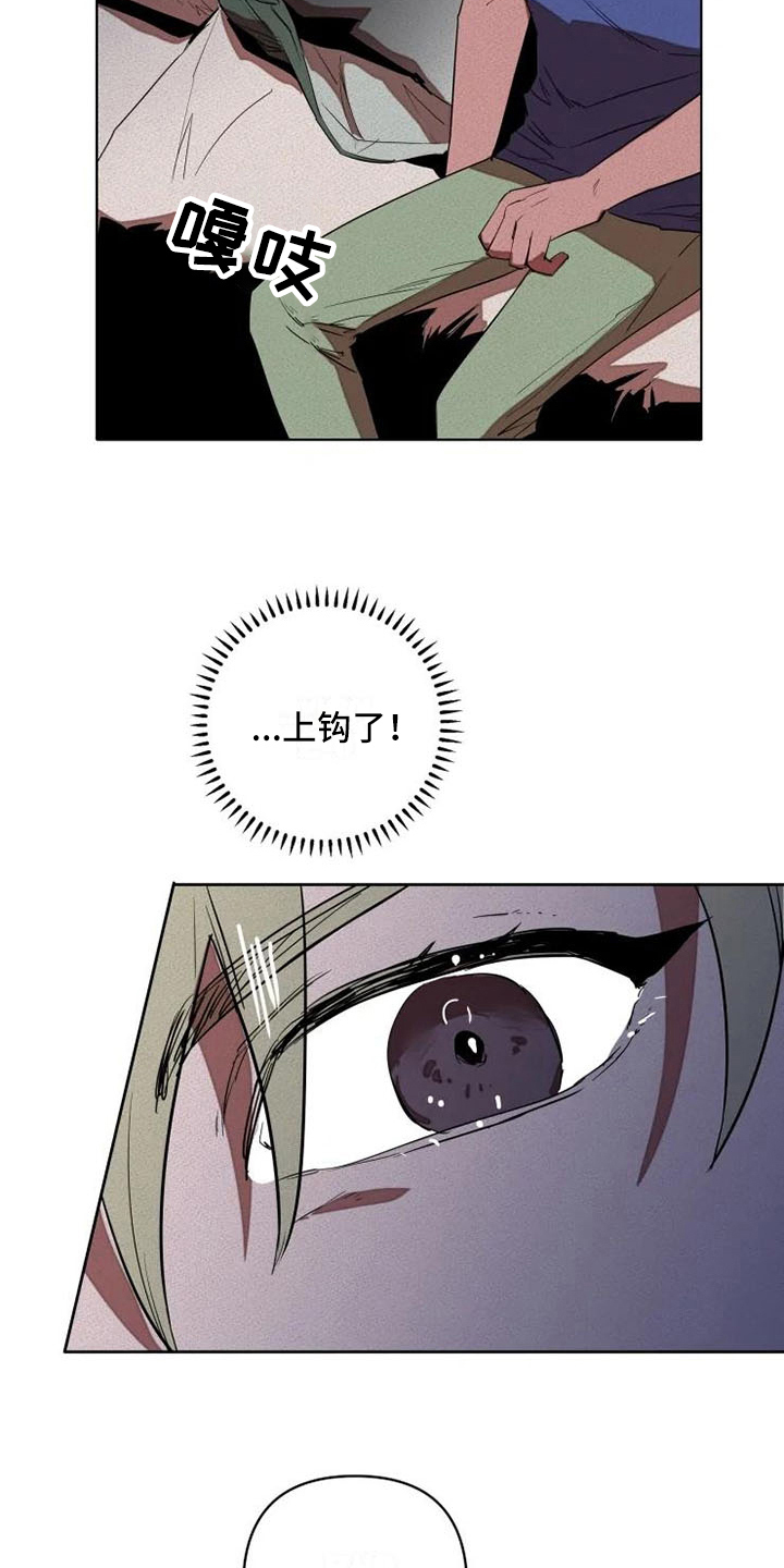 17.jpg