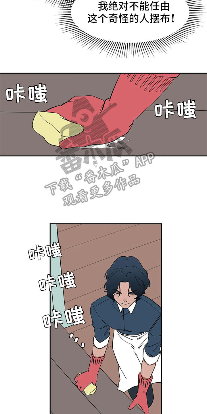 17.jpg