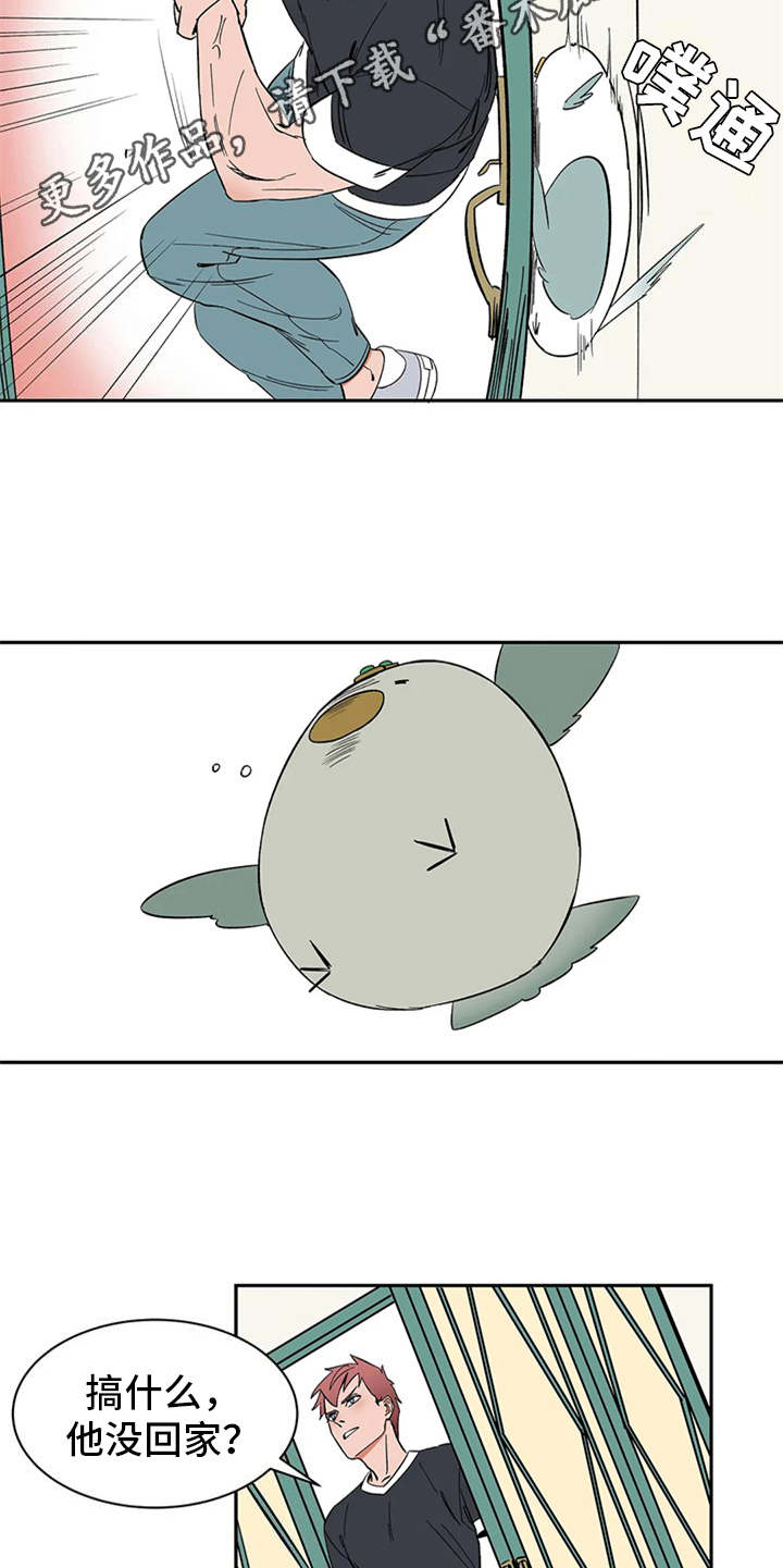 5.jpg