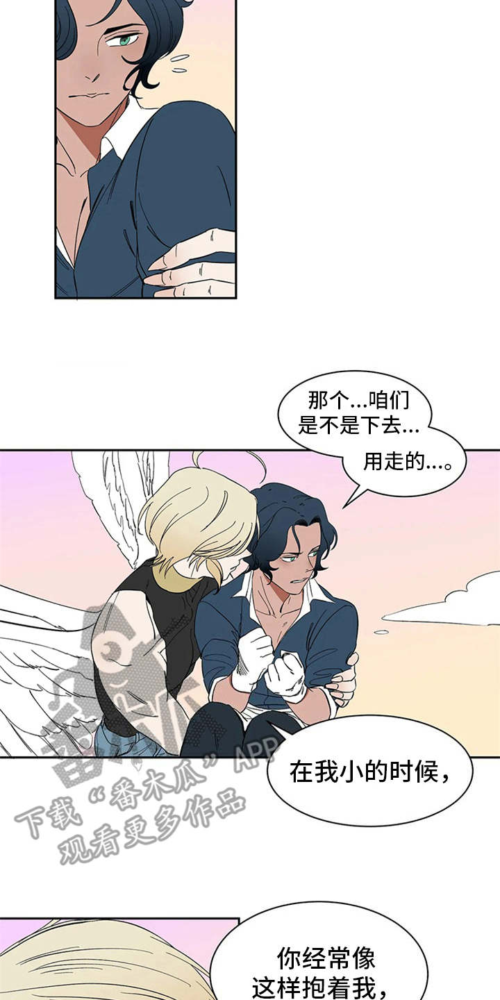 11.jpg