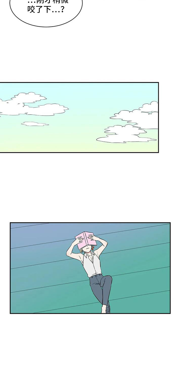 14.jpg