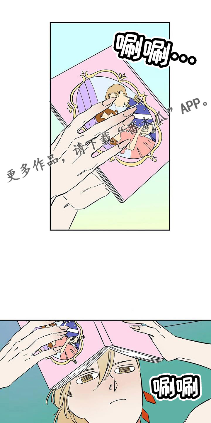 15.jpg