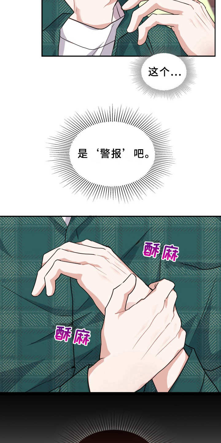 13.jpg