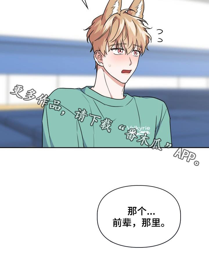 23.jpg