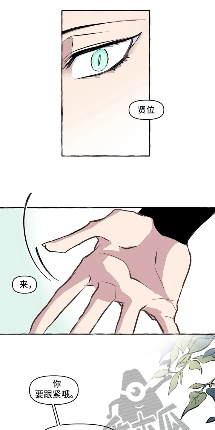 8.jpg