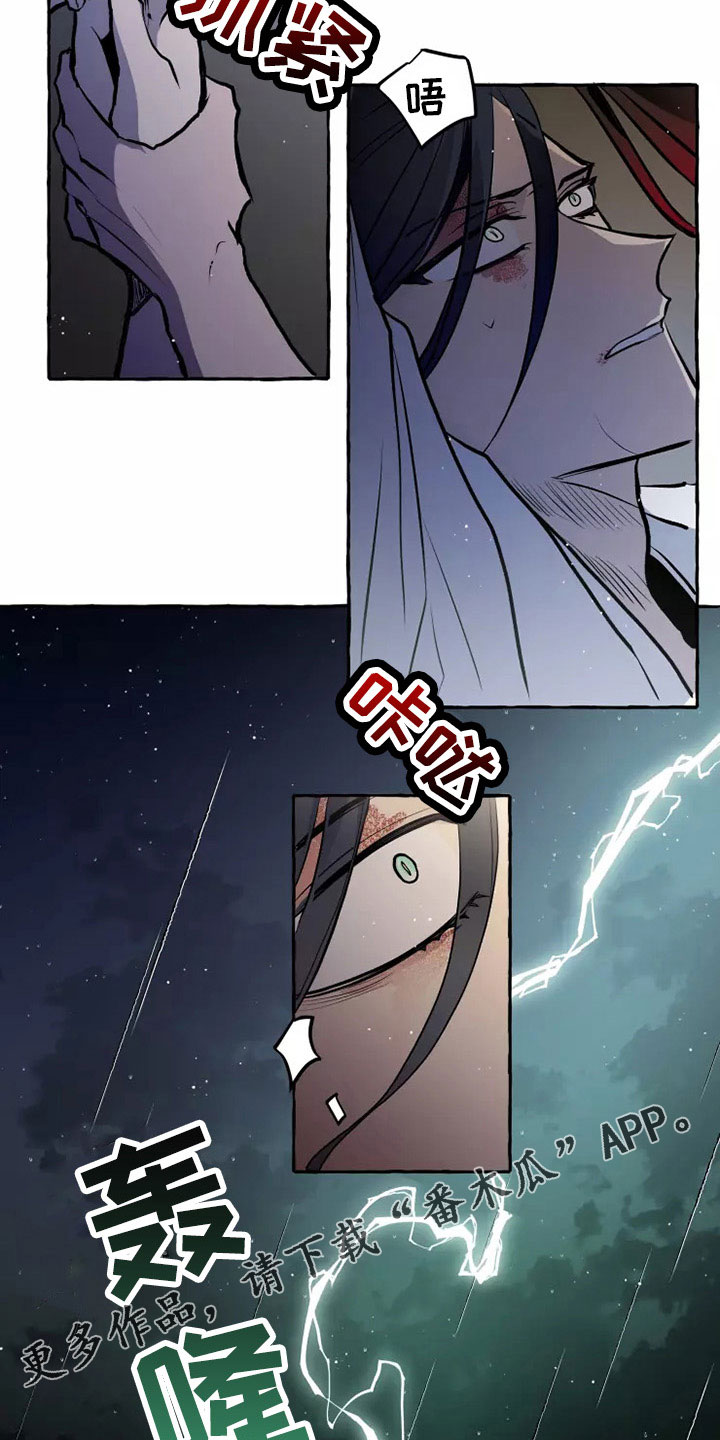 15.jpg
