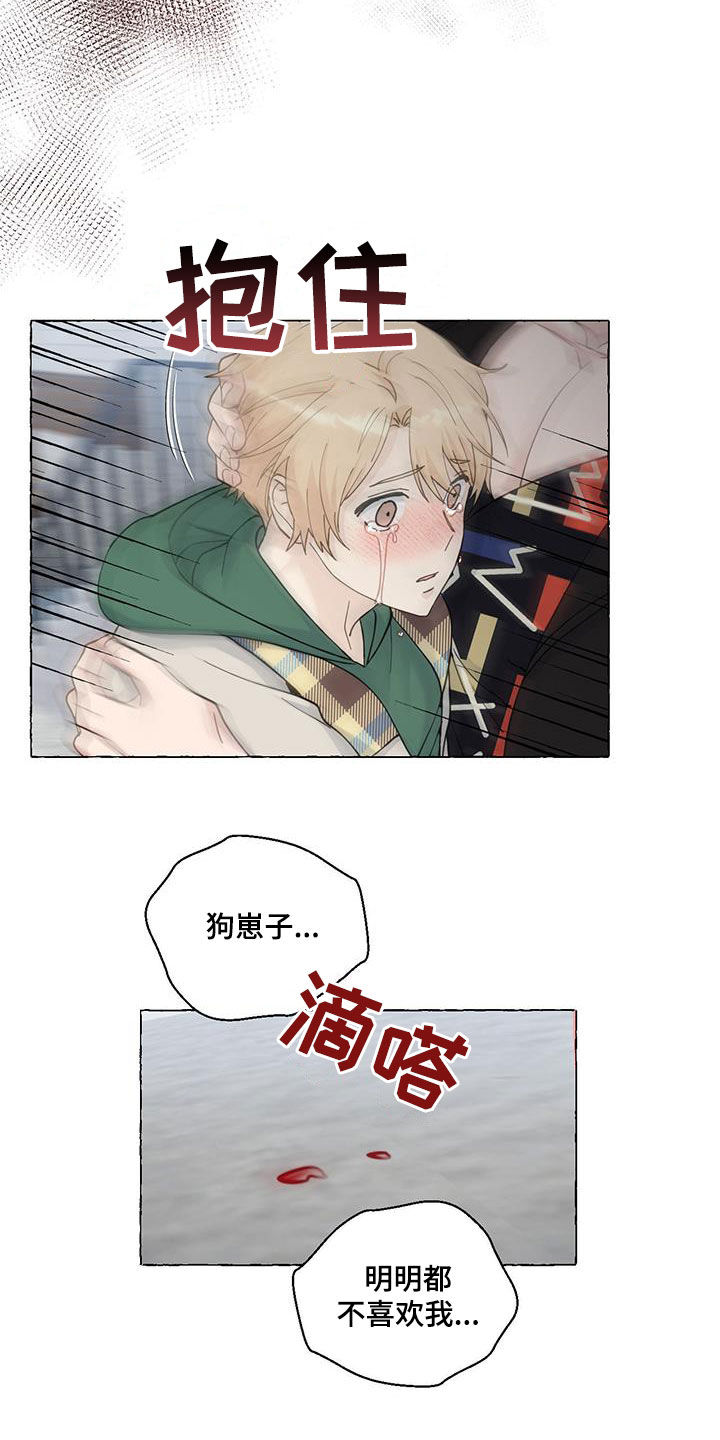 20.jpg