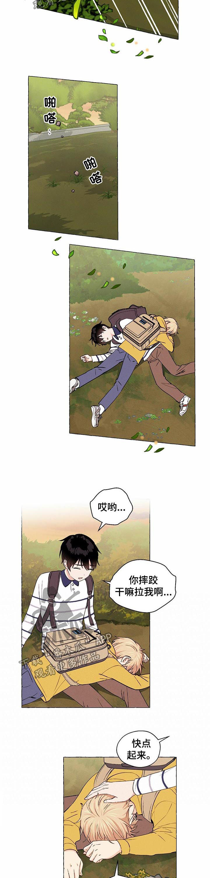 4.jpg