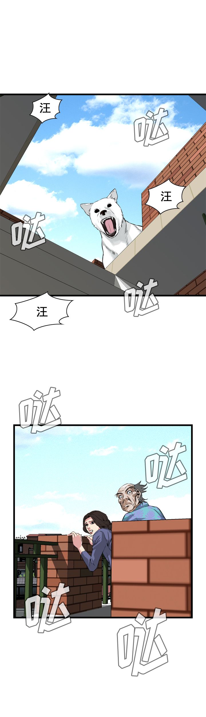 12.jpg