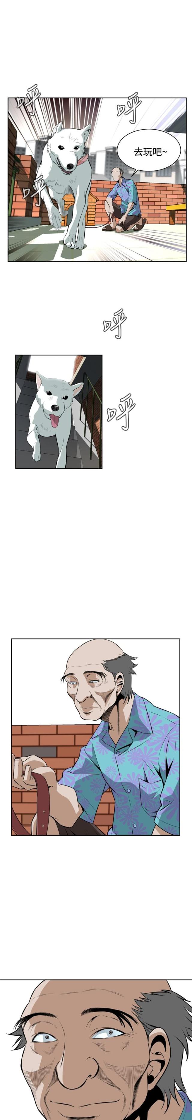 12.jpg
