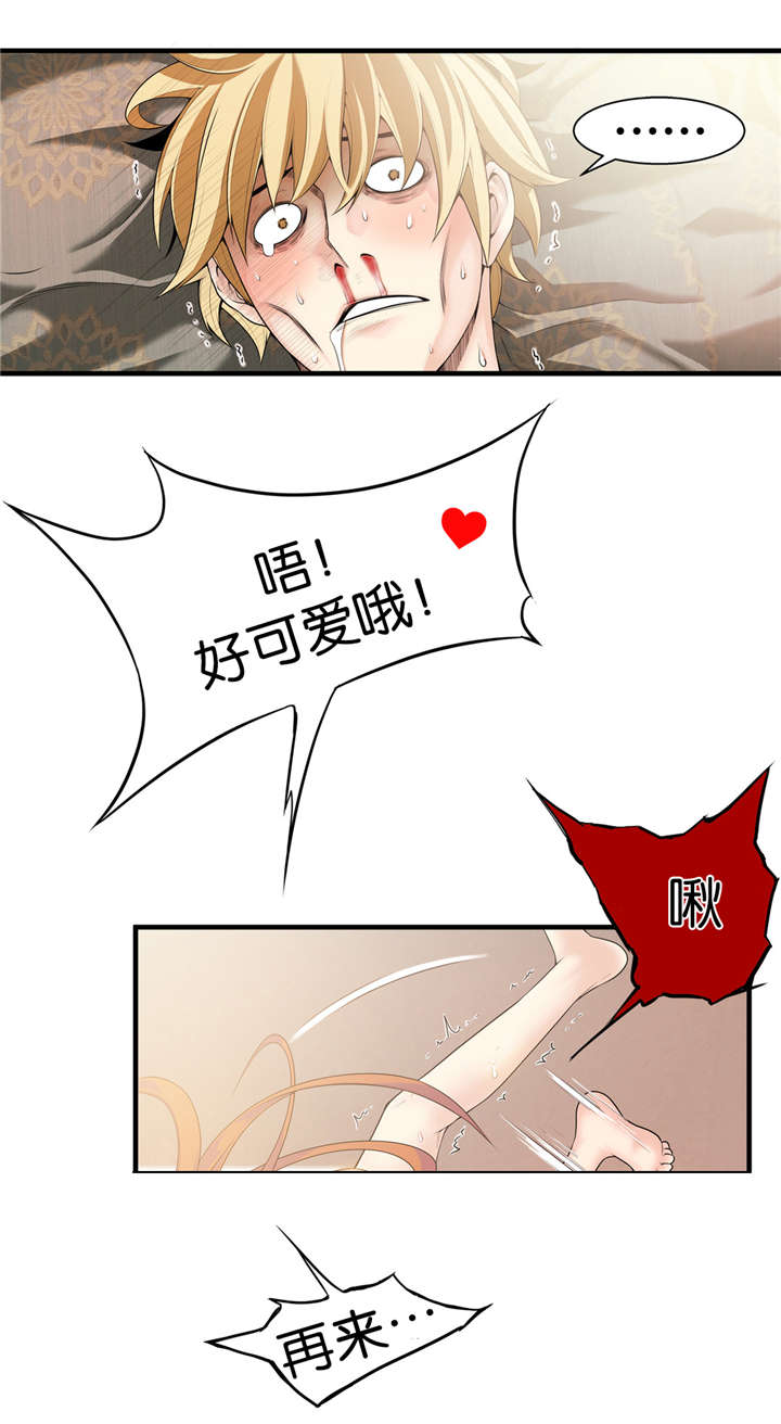 6.jpg