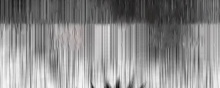 107.jpg